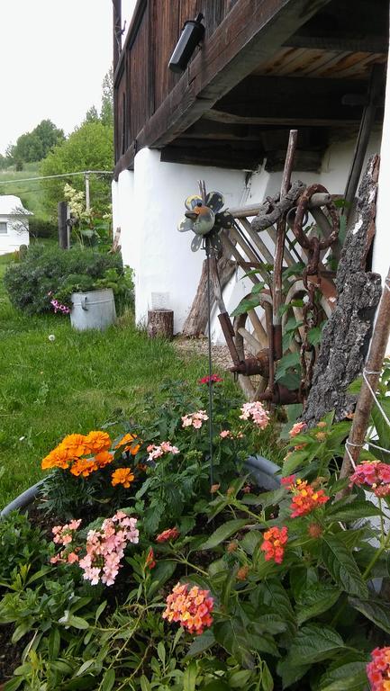 penzion Drevenica Šumiac Exteriér fotografie